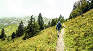 Camino en Cheserex canton de Vaud