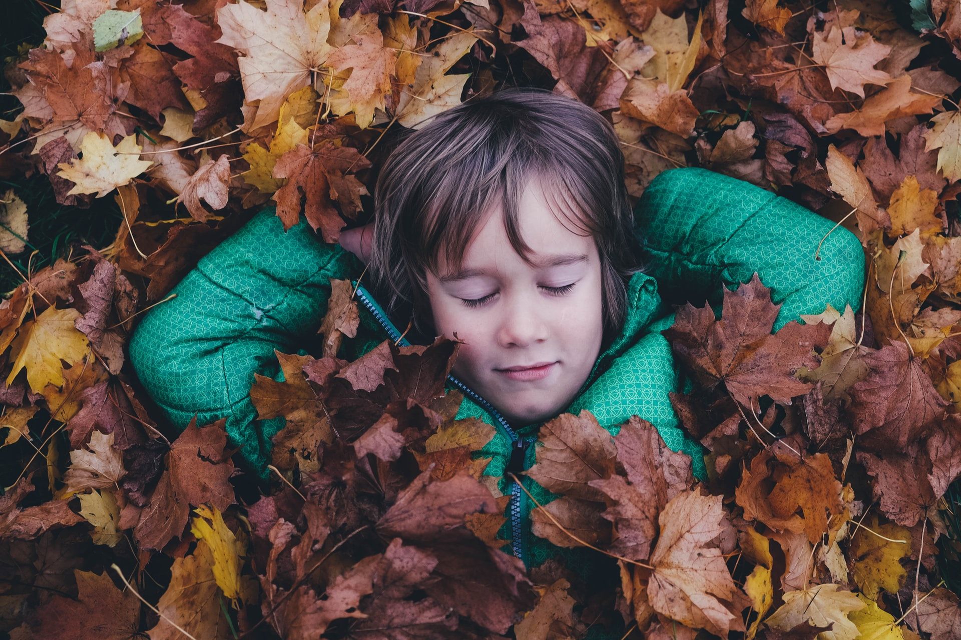 annie spratt Ewfrjh0GvtY unsplash