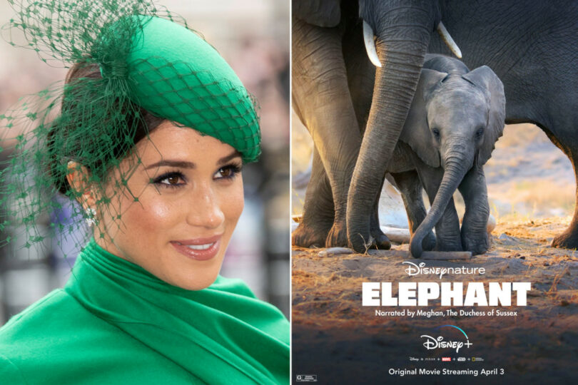 Meghan Markle, la voz en 'off' en la nueva película de Disney Plus 1 Meghan Markle votes Disneynature documentary Elephants released April 3 810x540 1