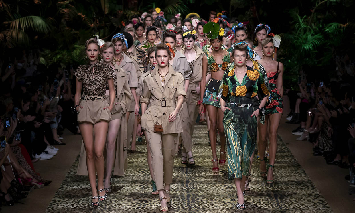 dolce gabbana t