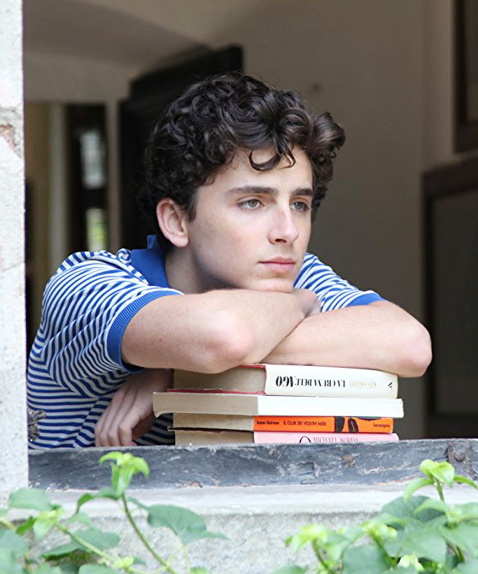 Timothée Chalamet: curiosidades sobre el nuevo crush de Hollywood 11 image 1