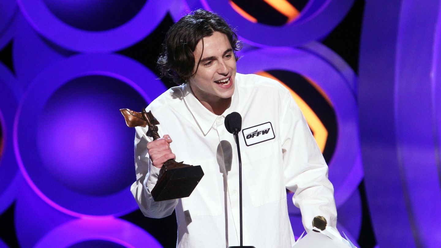 Timothée Chalamet: curiosidades sobre el nuevo crush de Hollywood 12 mgid ao image mtv