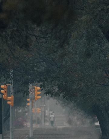 contaminación ambiental
