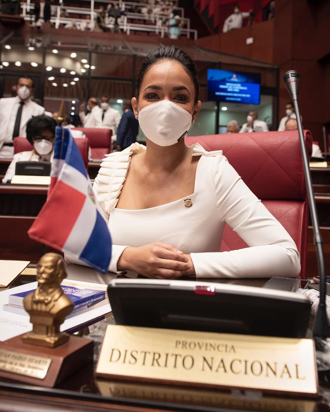 Diseñadores dominicanos, protagonistas en la toma de posesión 2020 14 toma de posesión