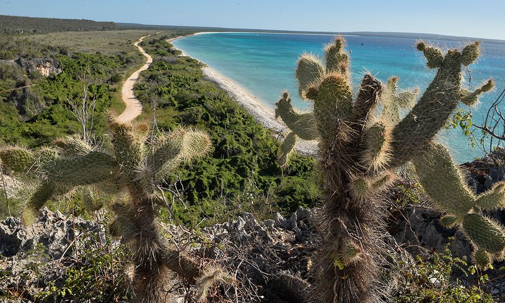 5 destinos turísticos marca país que debes visitar 3 f099d065 bahia de las aguilas pedernales er 38 5f3b25099302f