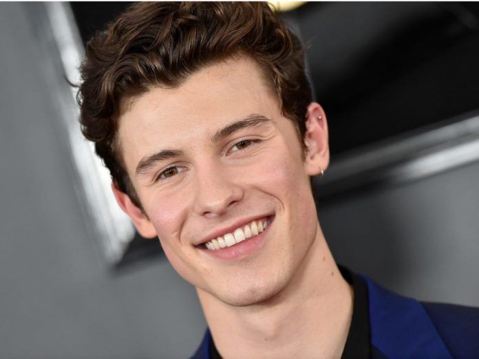 shawn mendes