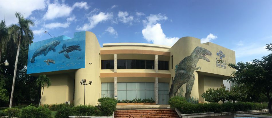 museo nacional historia natural santo domingo