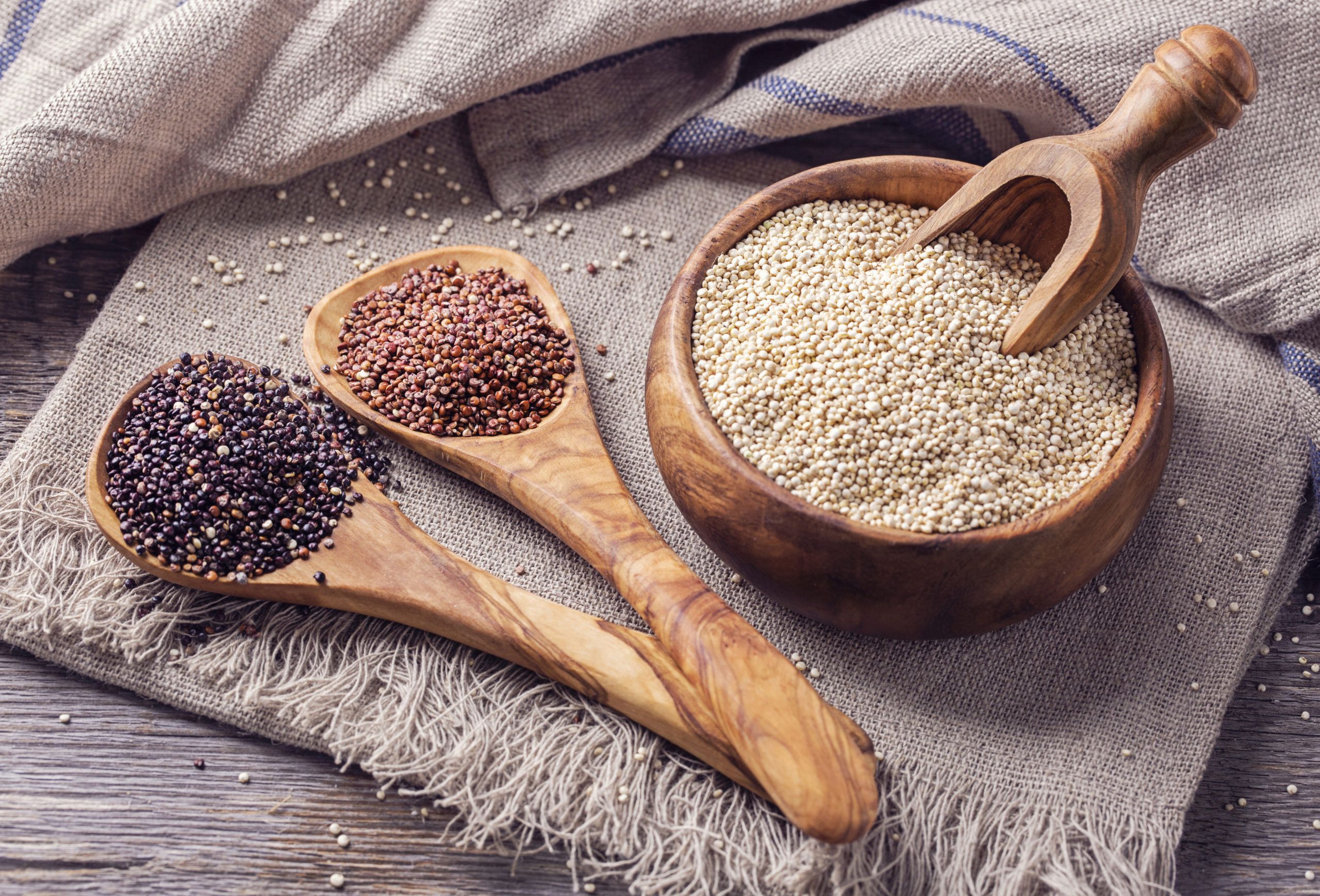 ¿Qué alimentos no deben faltar en tus comidas si buscas perder peso? 3 AdobeStock 85386015 scaled