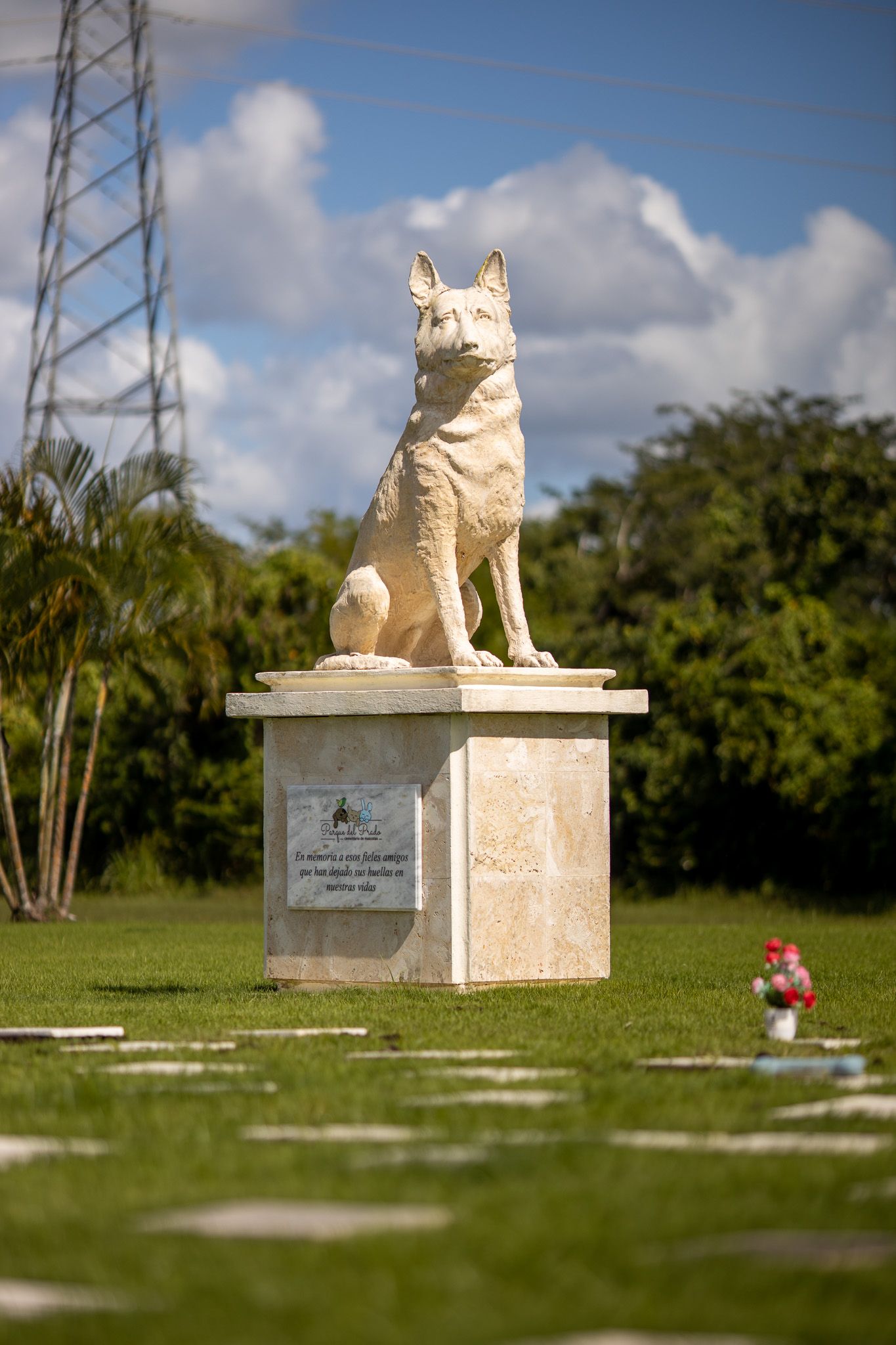 PET CEMETERY 2