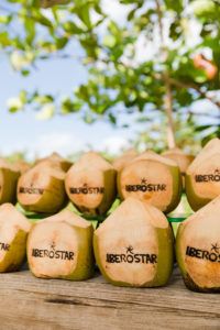 Siembra de Manglares. Complejo Iberostar Bavaro. 02.02.2021 7