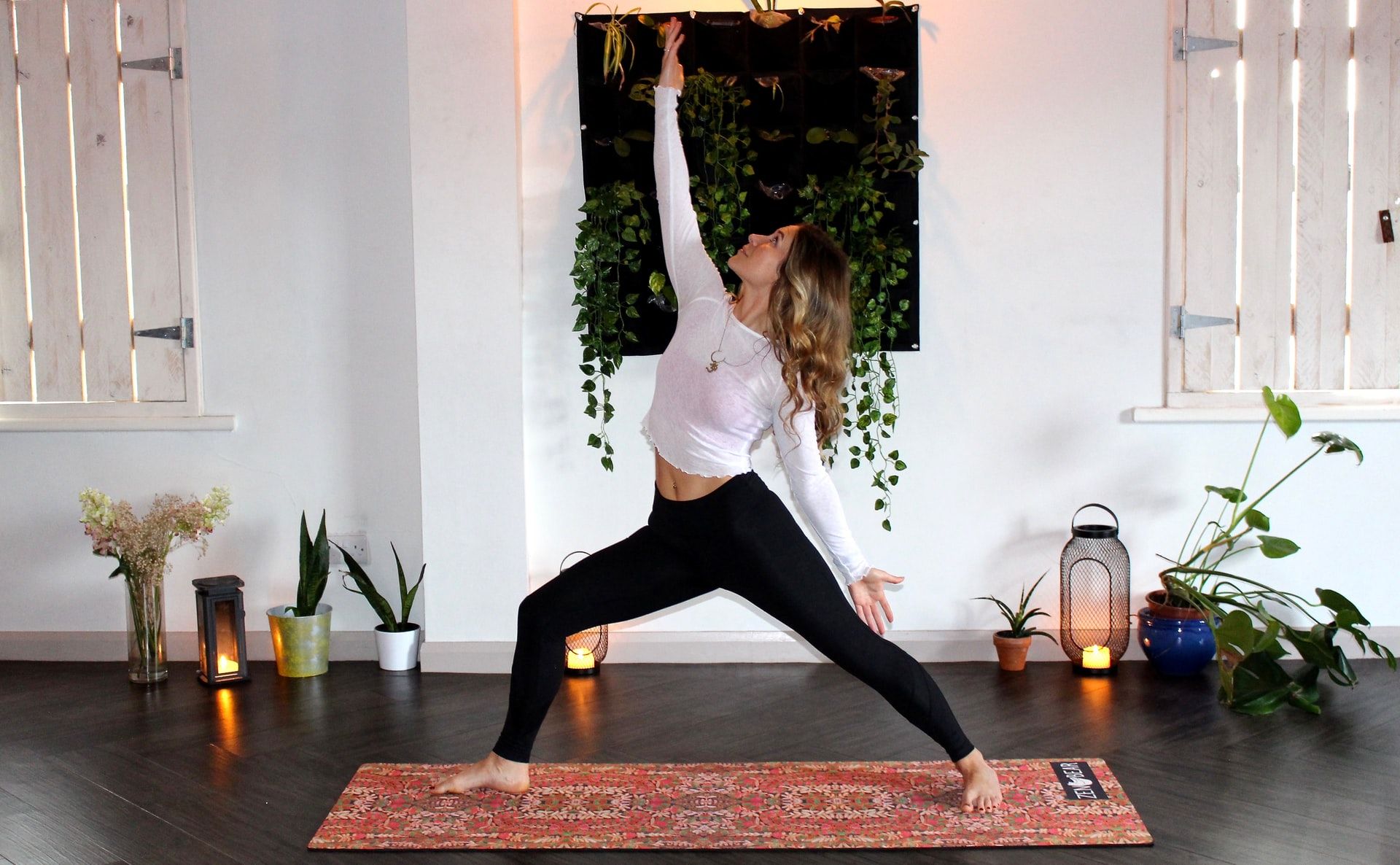 zen bear yoga IVf7hm88zxY unsplash