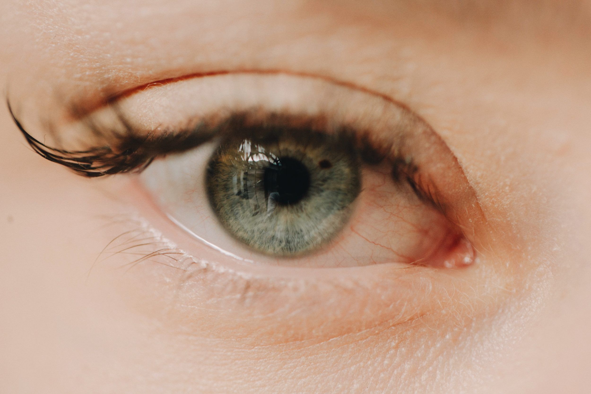 frank flores SYT7eqCrGdM unsplash