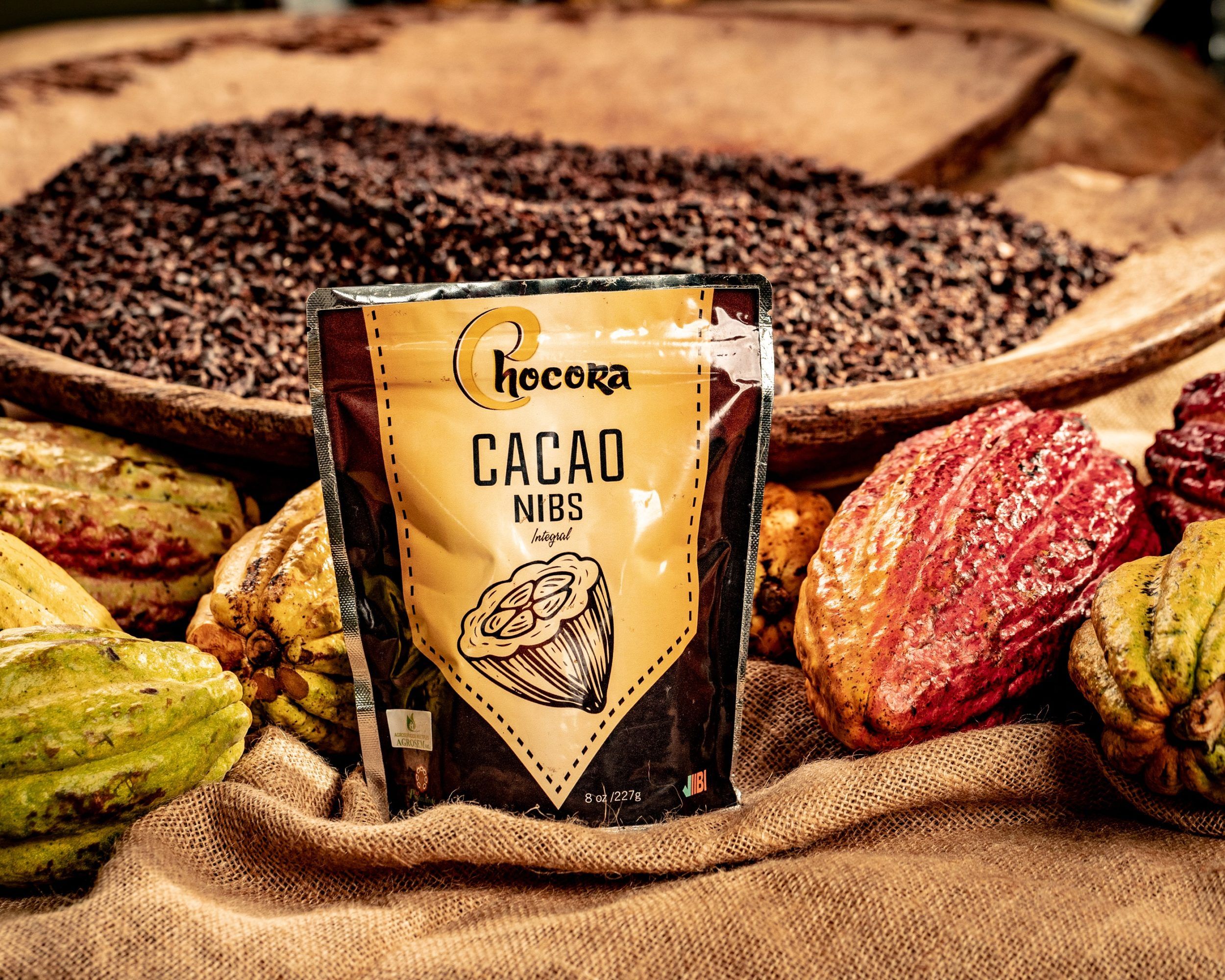 ¿Qué sabes de la iniciativa "Corazón Dominicano"? 2 Chocora Cacao 1