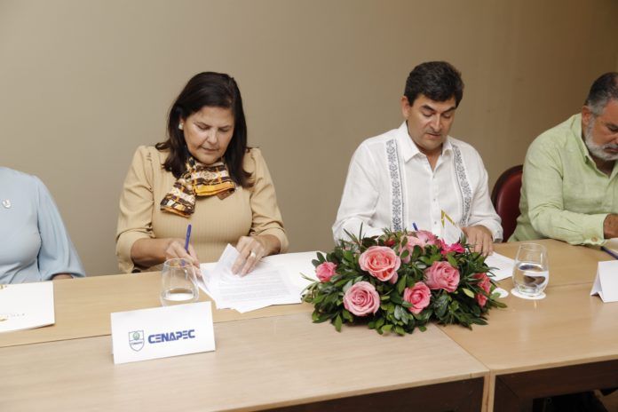 AMR Collection y CENAPEC