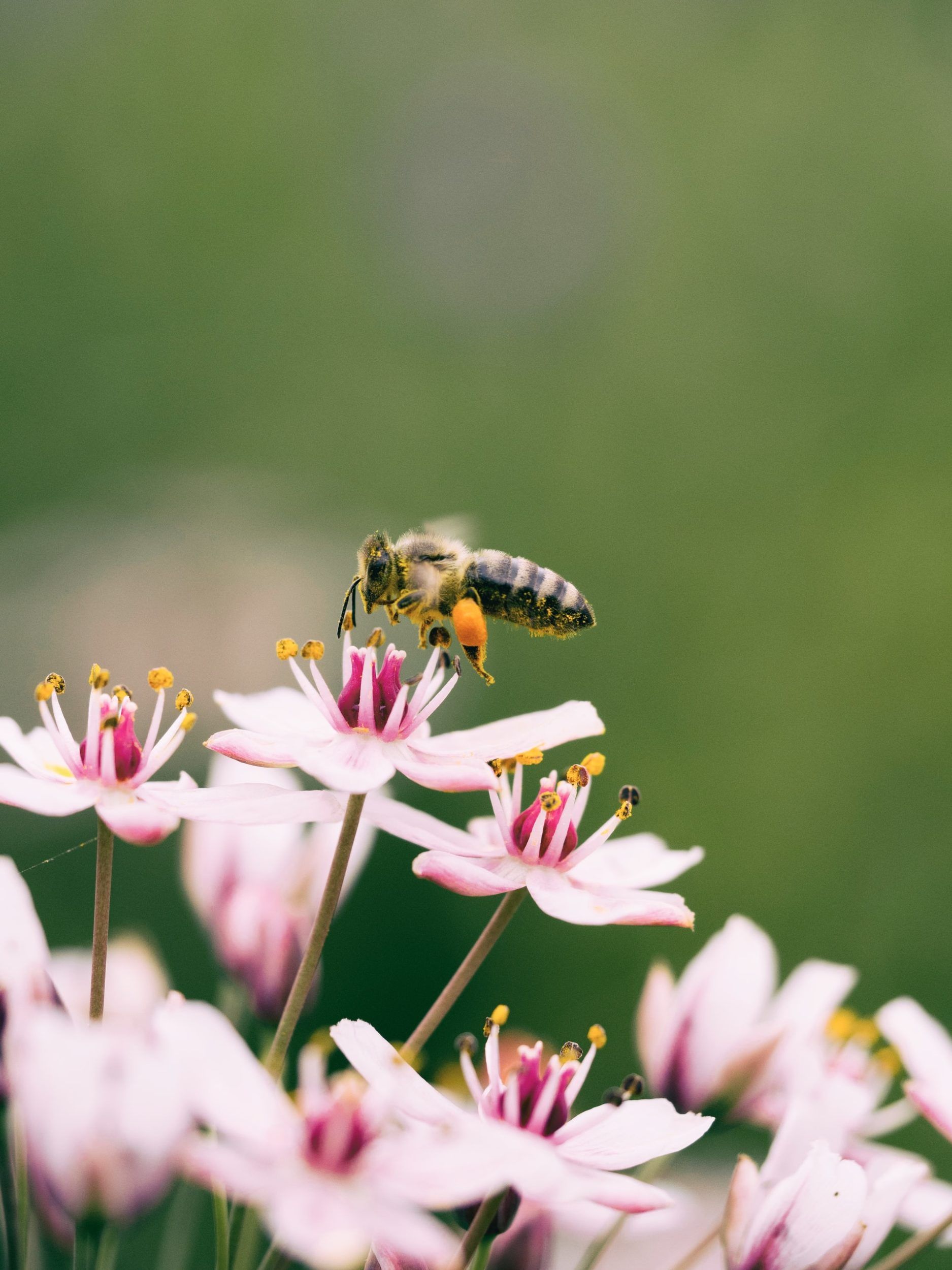aaron burden 6csuZQ9oZcI unsplash