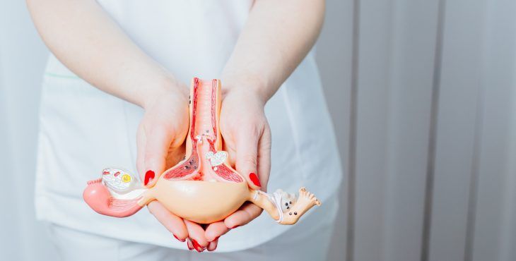 Datos y curiosidades sobre el cáncer de ovarios 1 adobestock 263060433 730x370 1