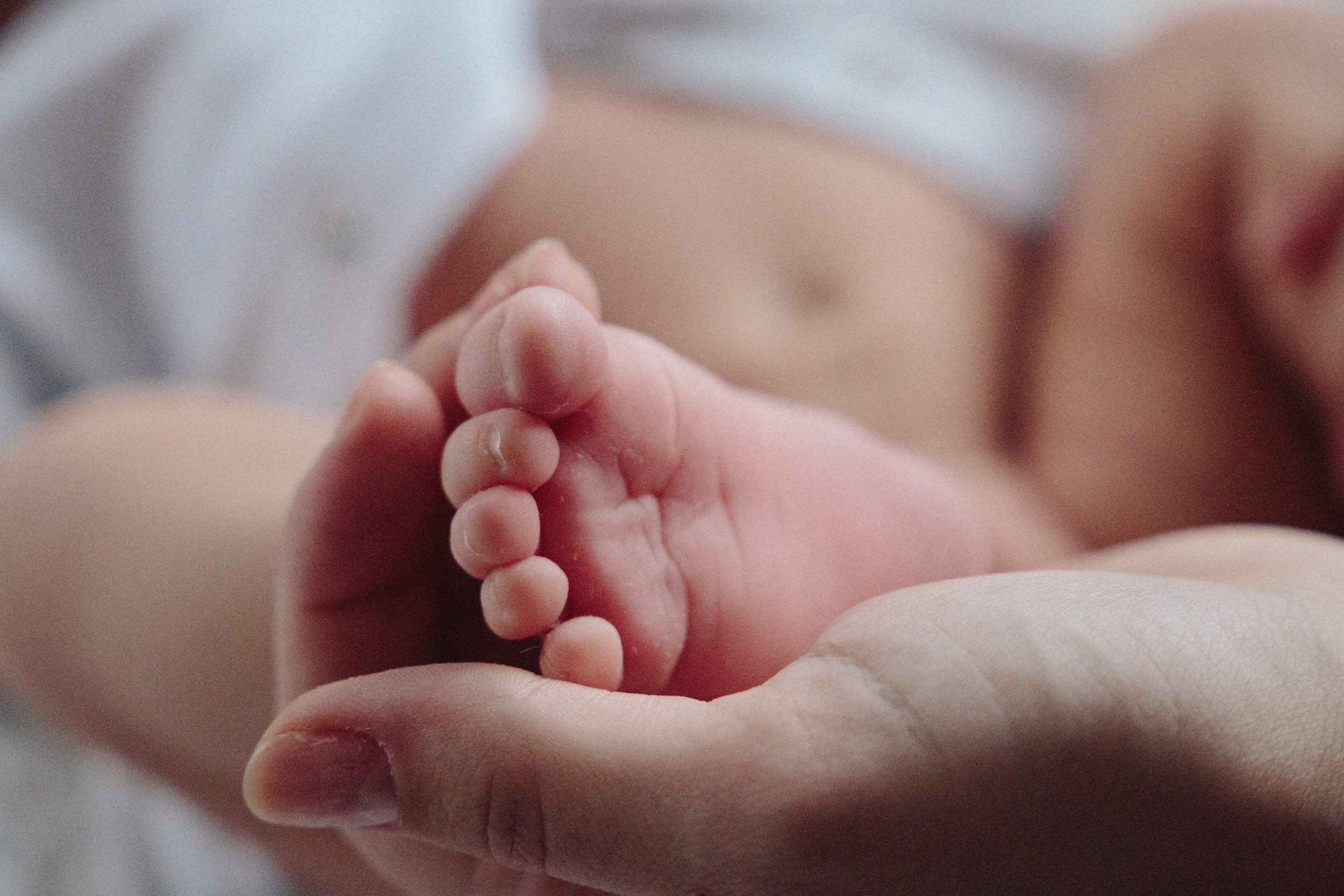 Comprendiendo la maternidad 2 klara kulikova o1rq5GwVorY unsplash