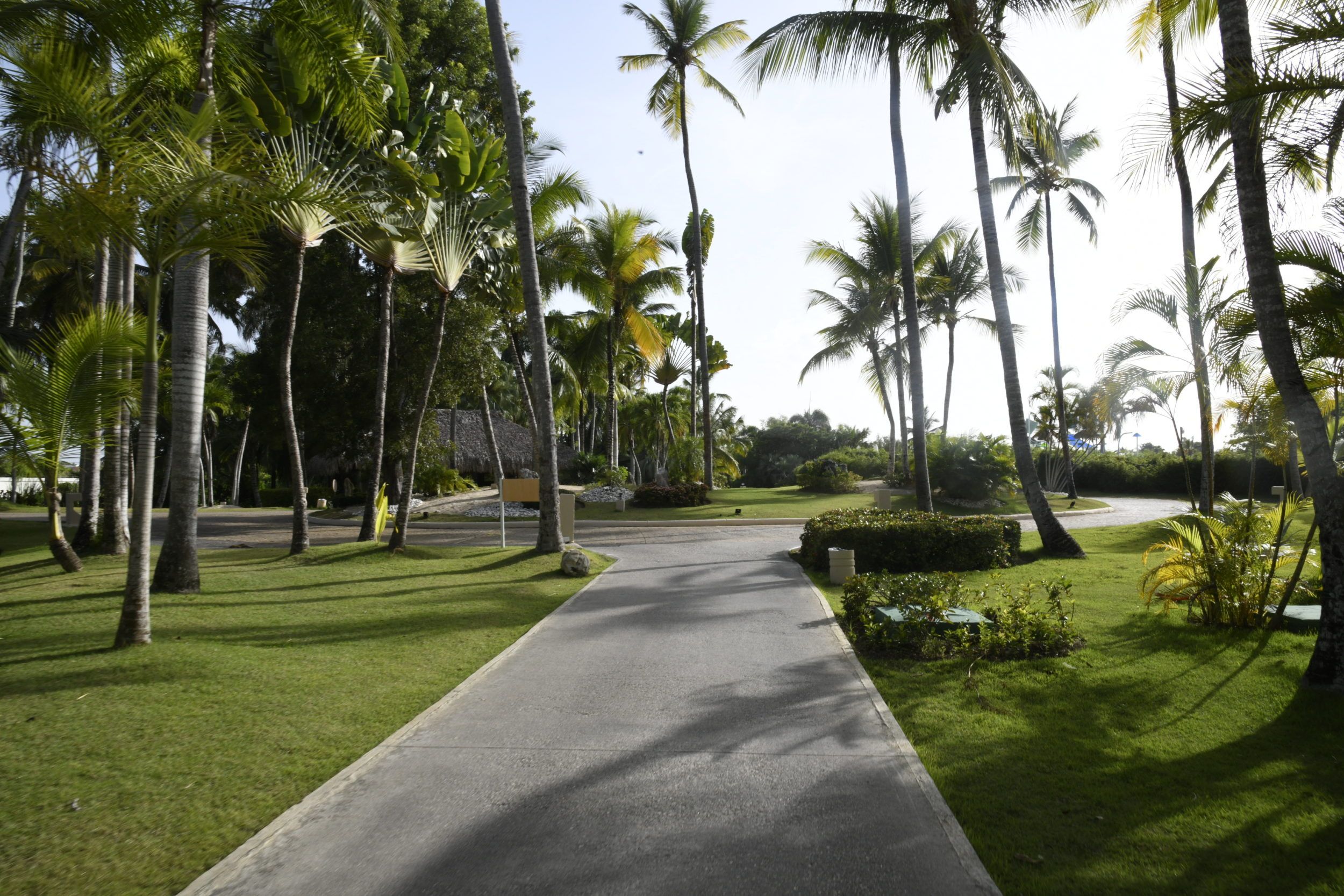 Meliá Punta Cana, ¿Cómo es la experiencia en un hotel Wellness? 5 DSC6671