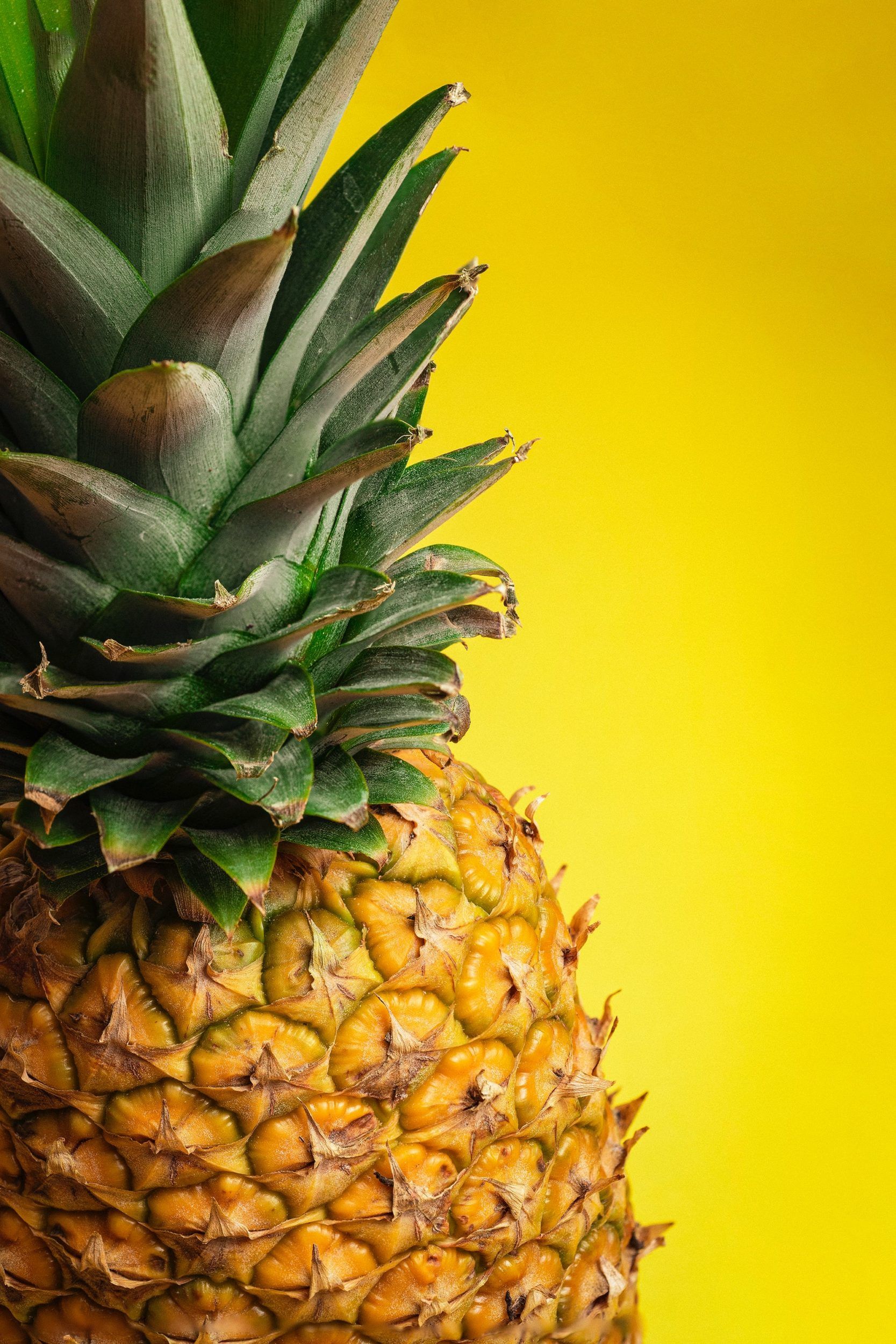 stephany williams LA1COkpEYxI unsplash
