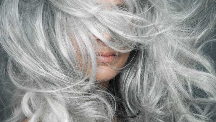 Canas