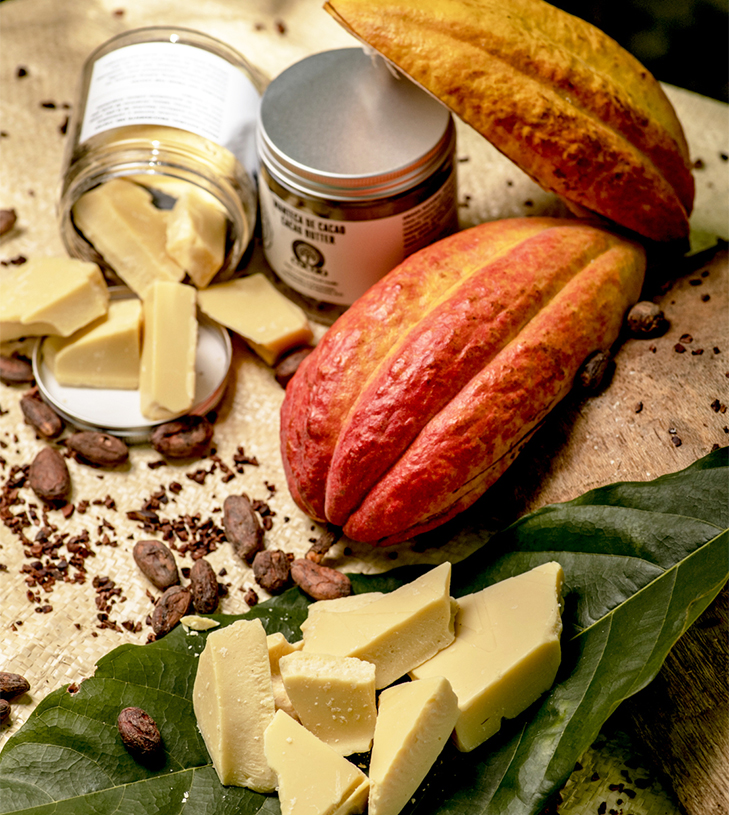 El arte del cacao dominicano