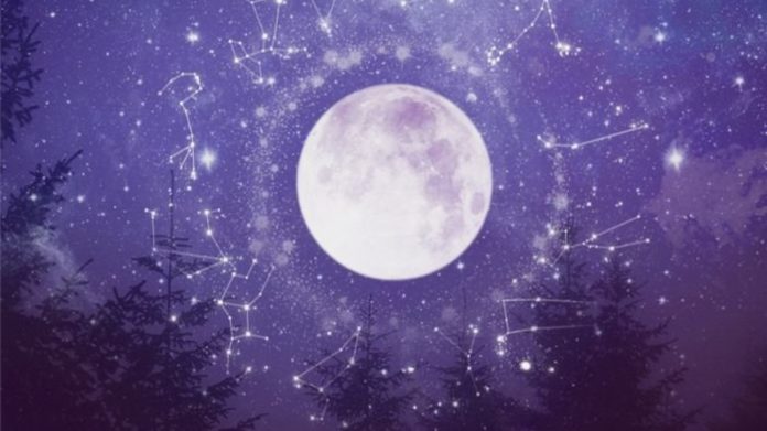 Cosmos