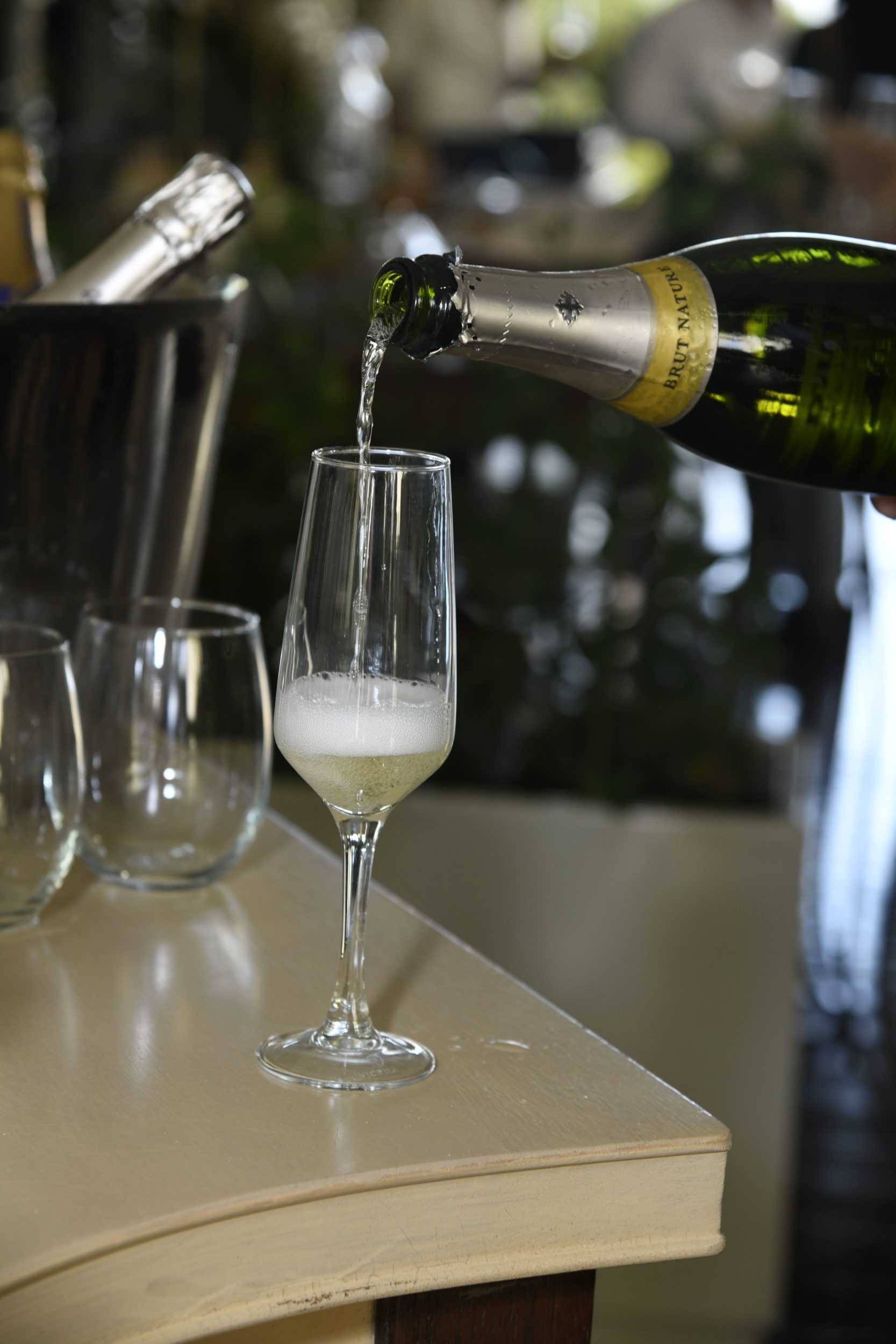 Parte de los vinos expuesto para disfrutar min