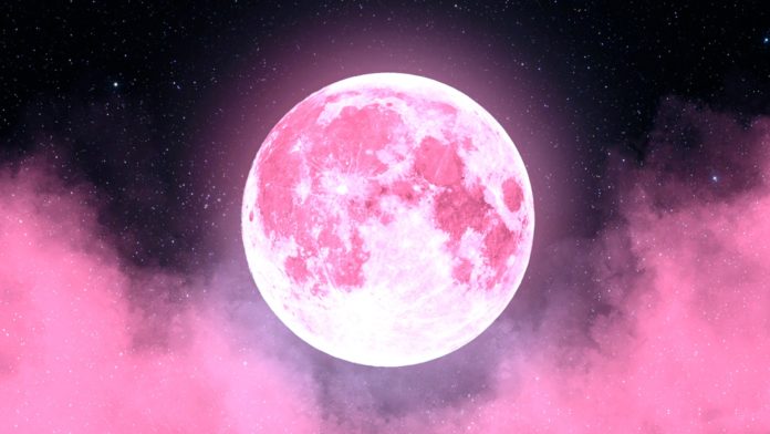 Luna Rosa