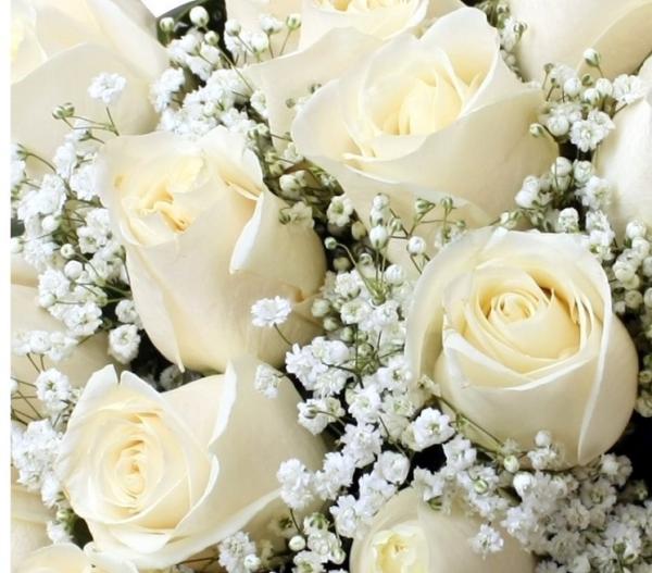 El lenguaje detrás de las flores 8 Rosas blancas
