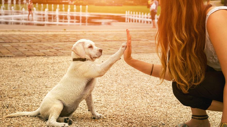 Nombres para perros