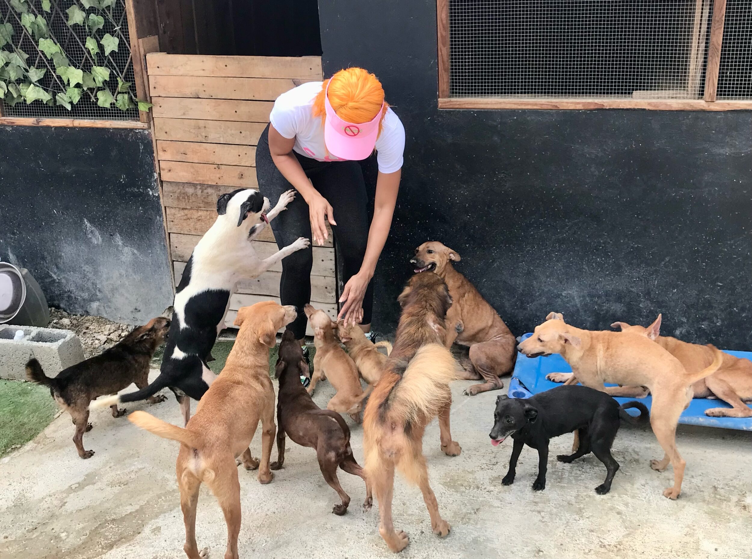 Sarodj Bertín realiza donación para refugio de animales rescatados 1 Sarodj Bertín