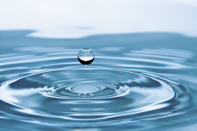 Características más comunes de los signos de agua 1 Signos