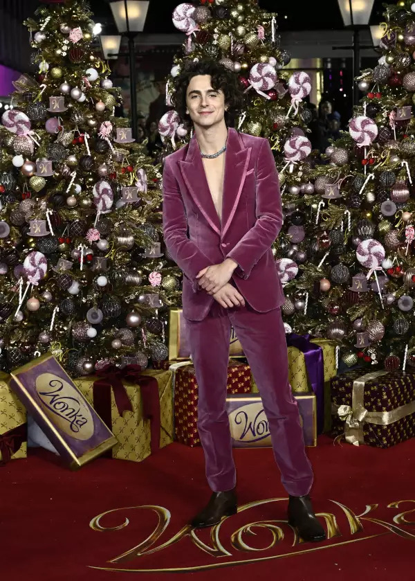 Timothée Chalamet y sus looks para promocionar Willy Wonka 6 image 7 62