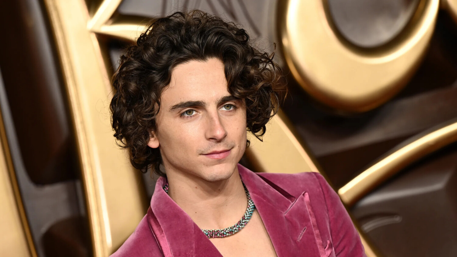 Timothée Chalamet y sus looks para promocionar Willy Wonka 5 image 7 65