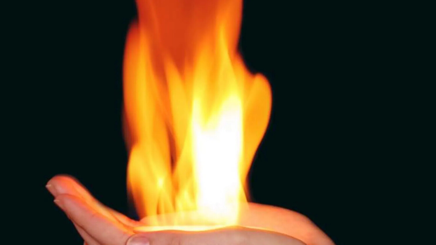 Estas son las principales cualidades que caracterizan a los signos de fuego 2 image 9