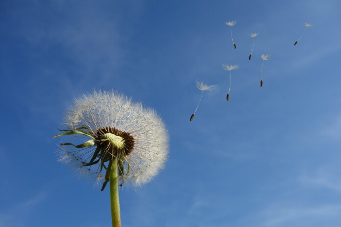 Signos de aire