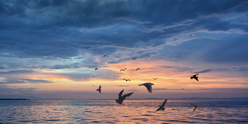 Signos de aire