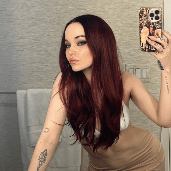 Colores de pelo