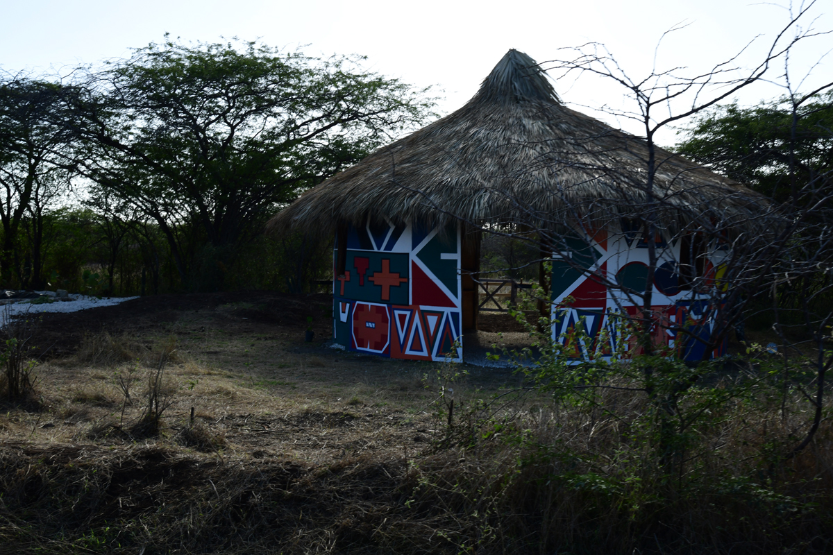 ¡Un safari en República Dominicana al estilo tropical! 2 safari