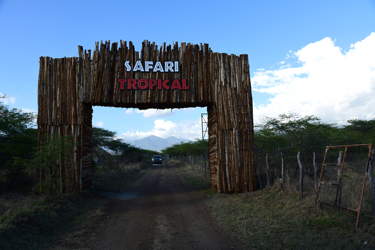 ¡Un safari en República Dominicana al estilo tropical! 1 t31