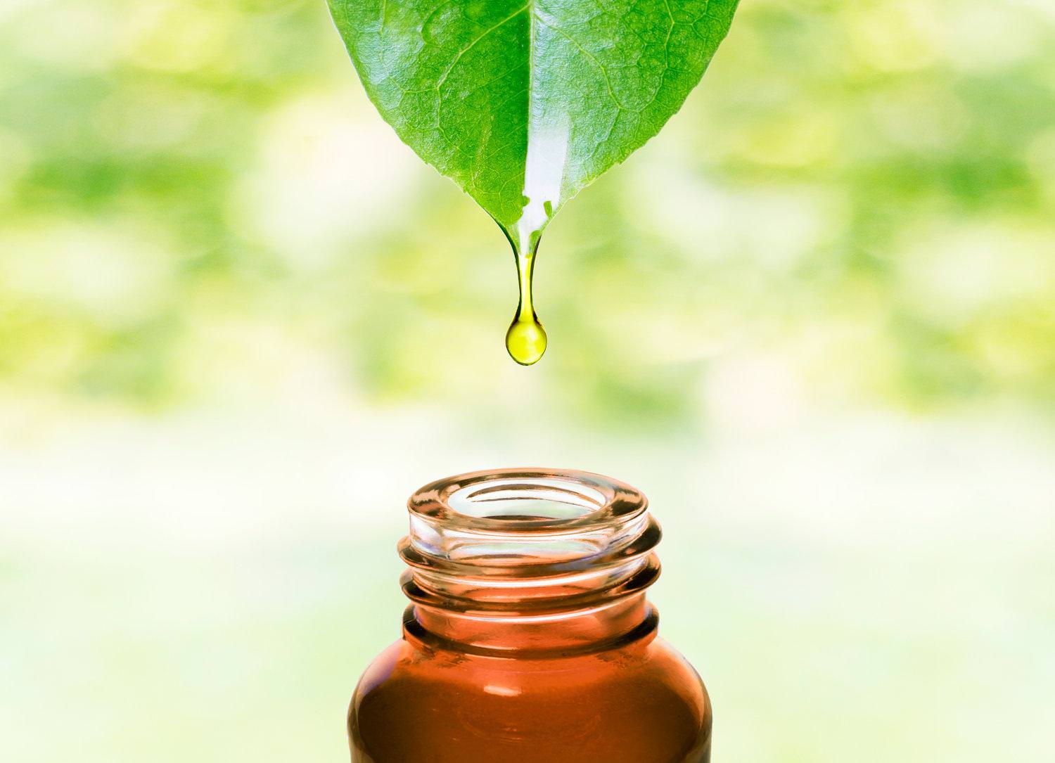 Green Beauty: Salvando al planeta y a tu piel 2 cosmetique verte
