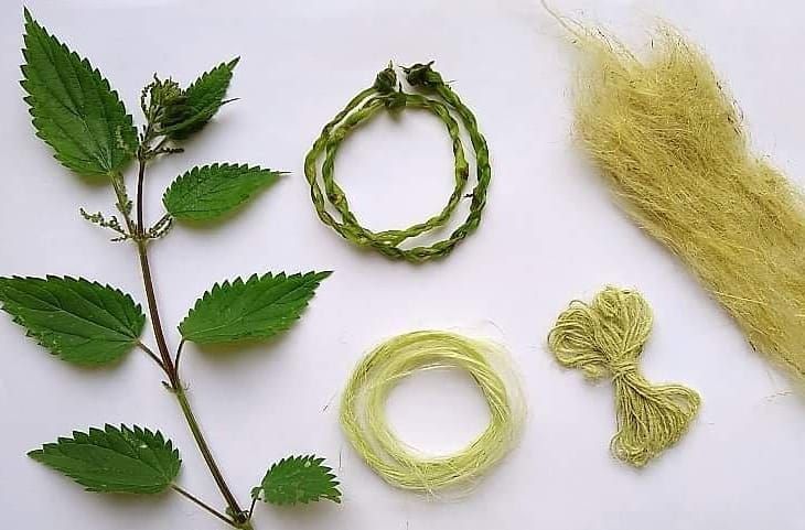 Moda sostenible: ayudando el planeta manteniendo el estilo 7 telas de fibra de ortiga no pican y son mas resistentes que el algodon 20210608 El Horticultor