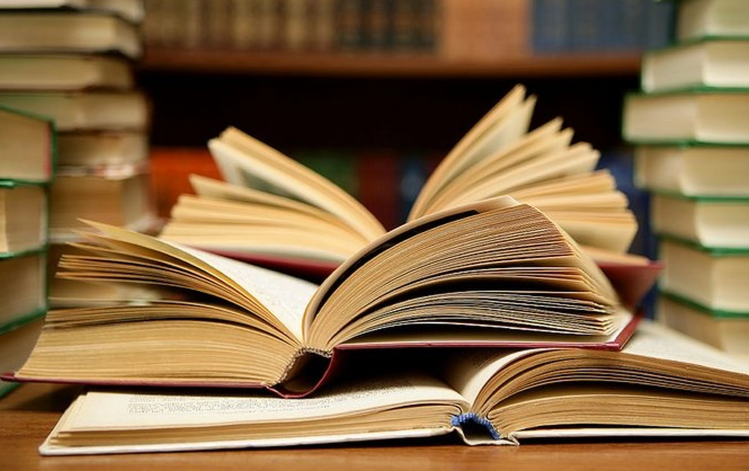 ¿Qué regalarle a un hombre en estas festividades? Opciones para todos los gustos 11 libros