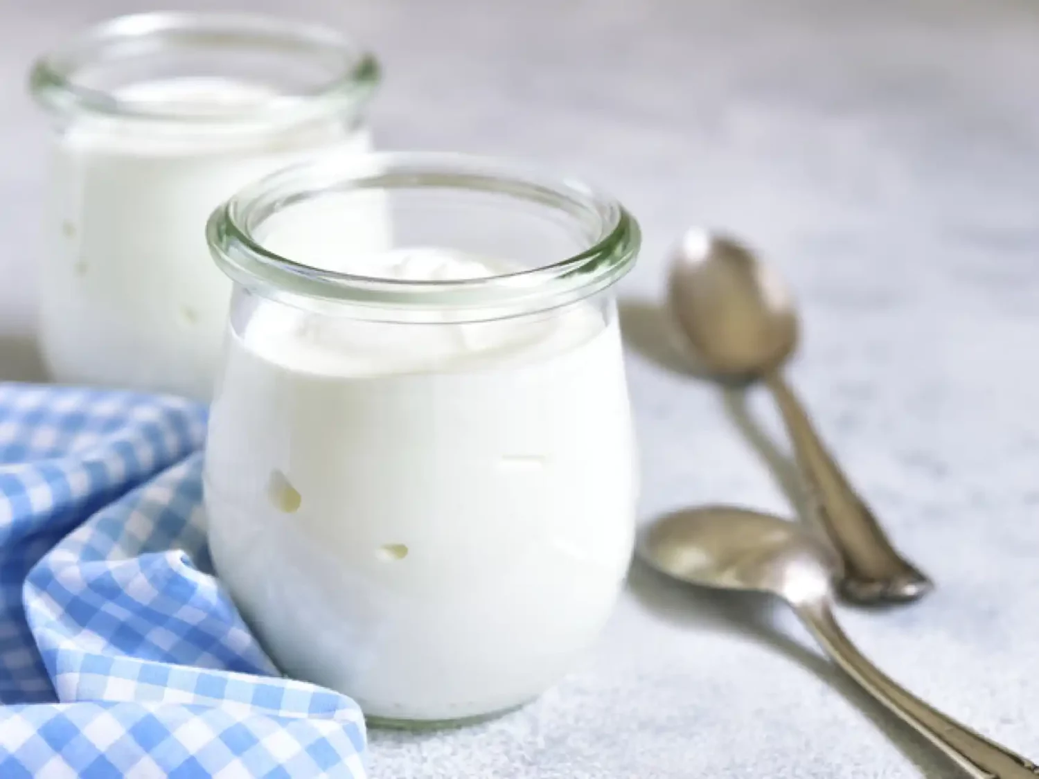 Yogurt con probioticos