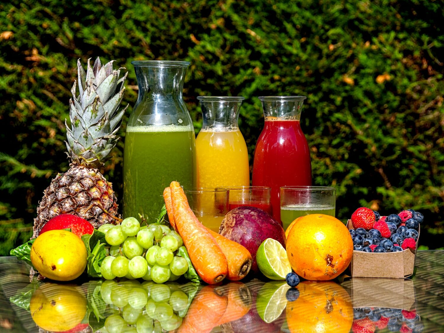bebidas saludables