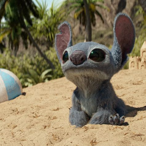 Disney trae de vuelta la magia con el estreno de 'Lilo & Stitch' en Live Action 2 Lilo & Stitch