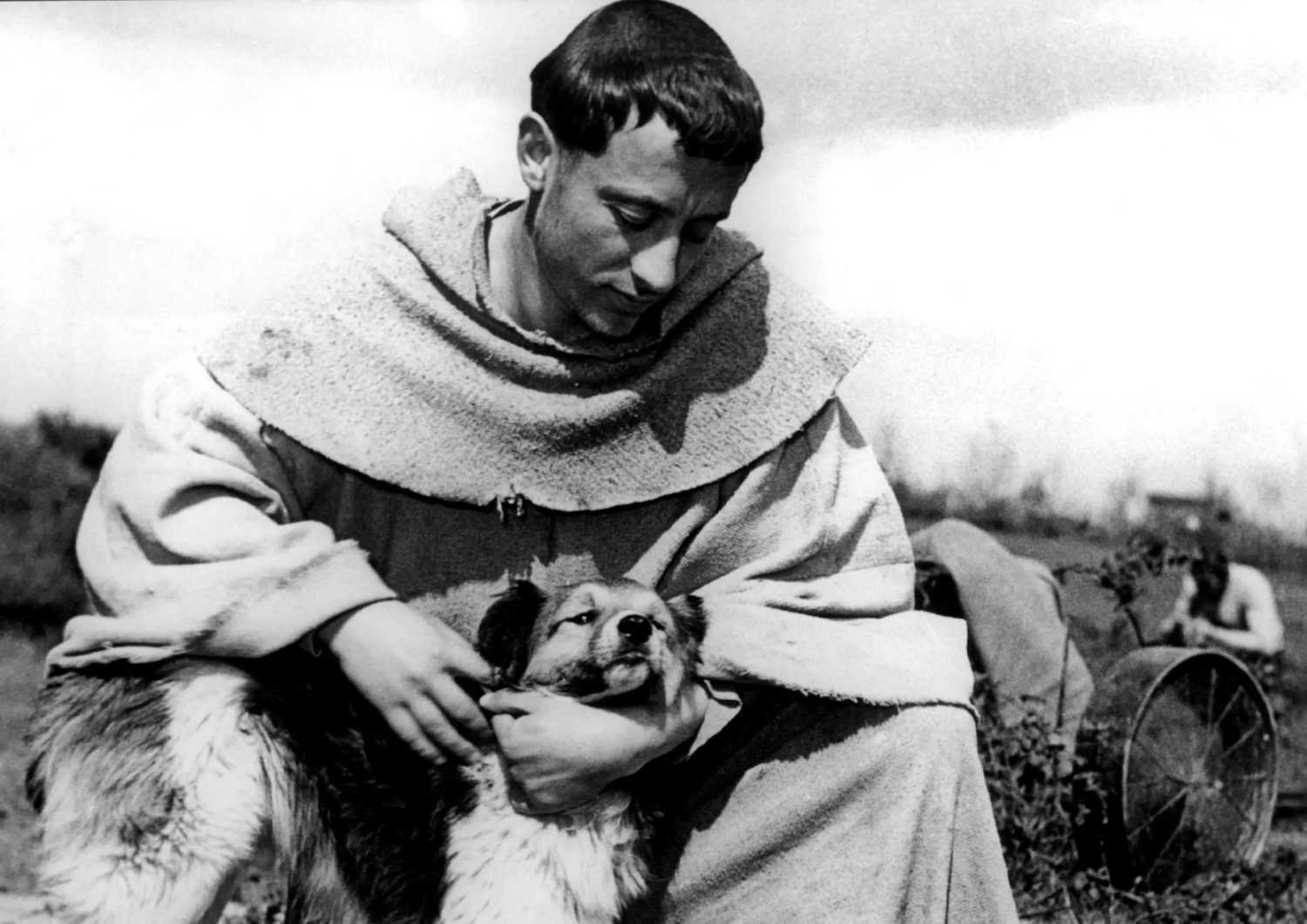 image 36