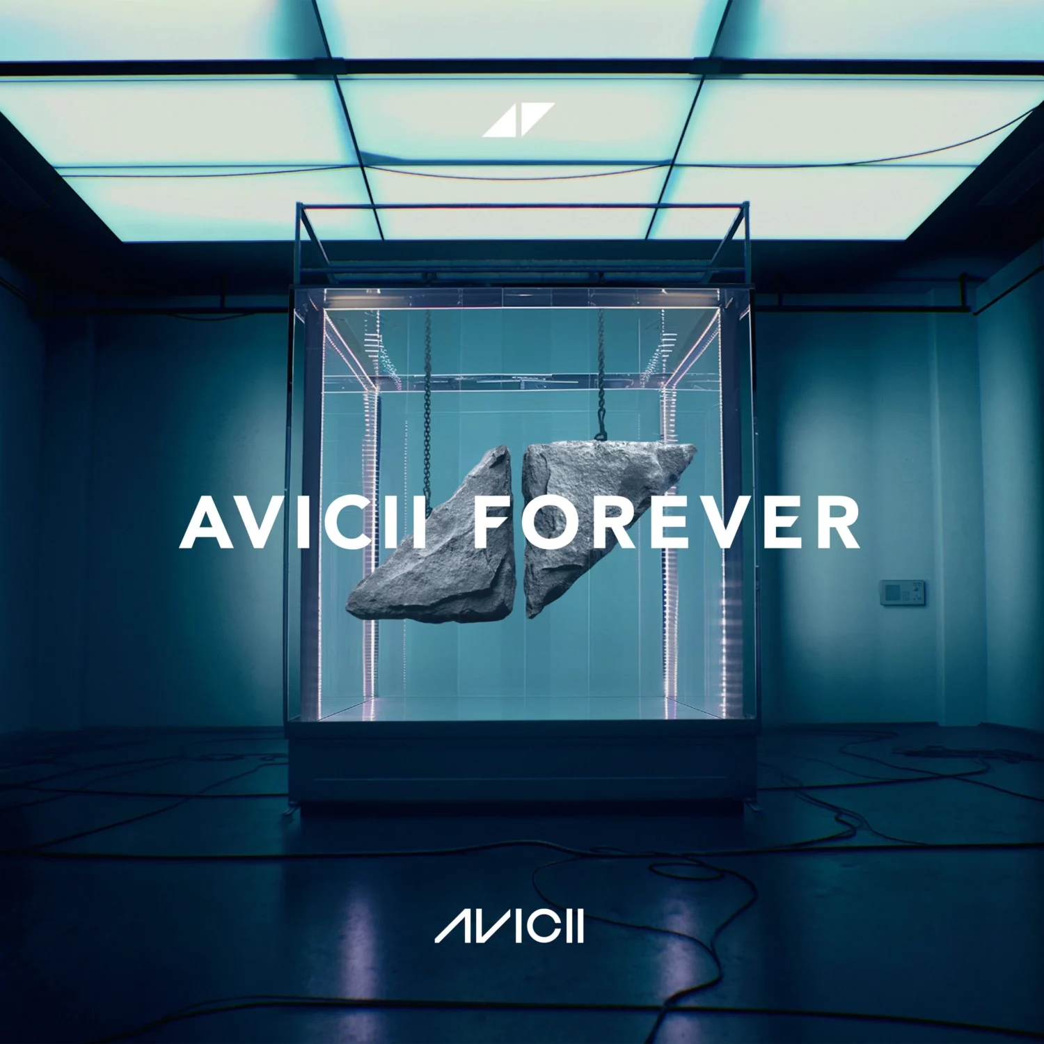 Avicii