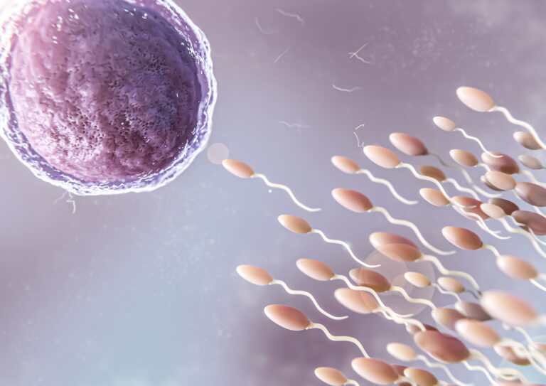 La Maternidad Asistida: Todo lo que debes saber antes de iniciar el proceso para ser madre 1 Fecundacion In vitro en Bucaramanga 768x543 1