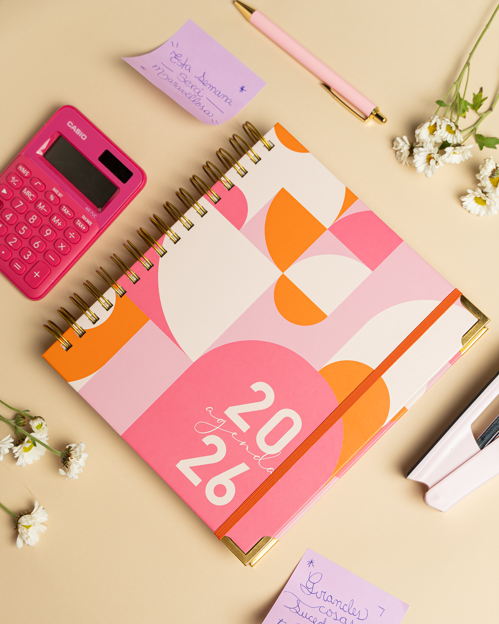 Modleo 3 Agenda Amelie 2026
